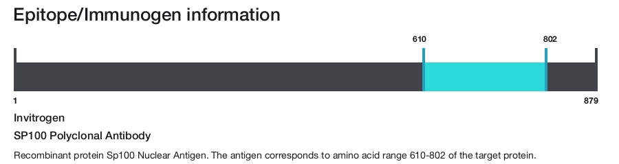 SP100 Polyclonal Antibody