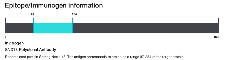 SNX13 Polyclonal Antibody