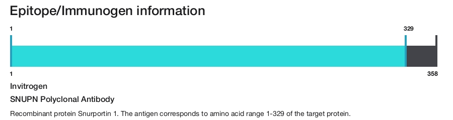 SNUPN Polyclonal Antibody