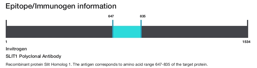 SLIT1 Polyclonal Antibody