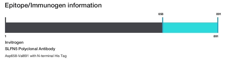 SLFN5 Polyclonal Antibody