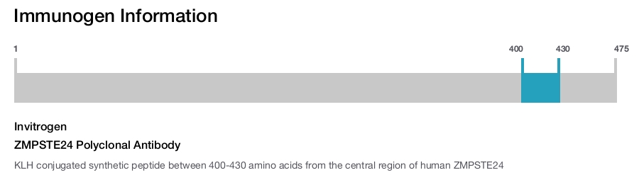 ZMPSTE24 Polyclonal Antibody