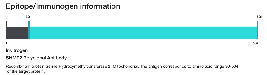 SHMT2 Polyclonal Antibody