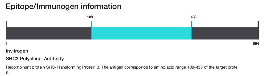 SHC3 Polyclonal Antibody