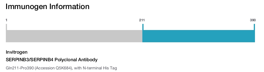 SERPINB3/SERPINB4 Polyclonal Antibody