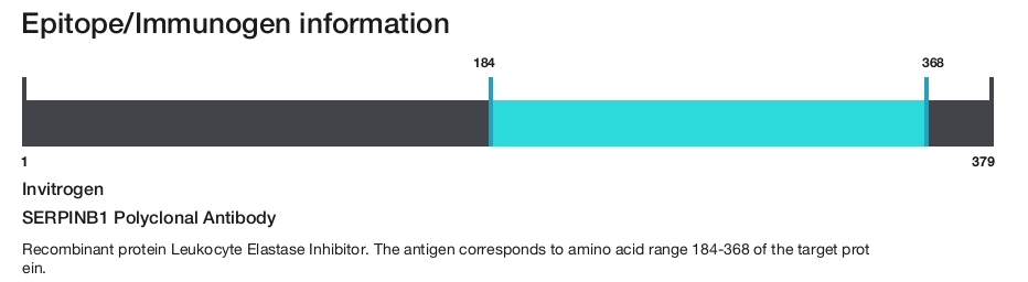 SERPINB1 Polyclonal Antibody