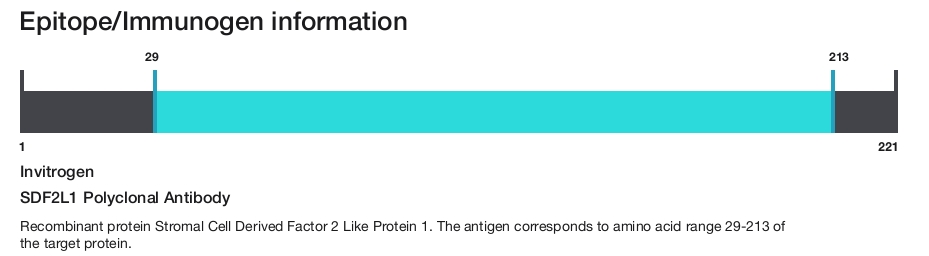SDF2L1 Polyclonal Antibody