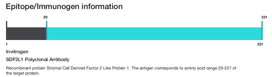 SDF2L1 Polyclonal Antibody