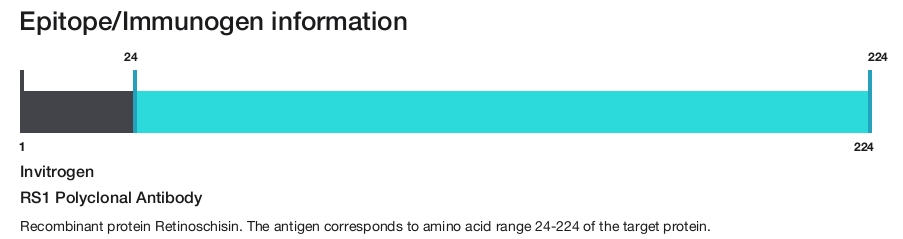 RS1 Polyclonal Antibody
