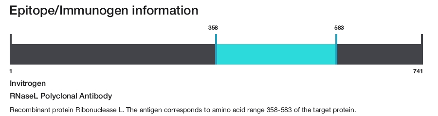 RNaseL Polyclonal Antibody