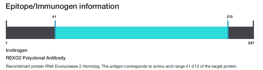 REXO2 Polyclonal Antibody