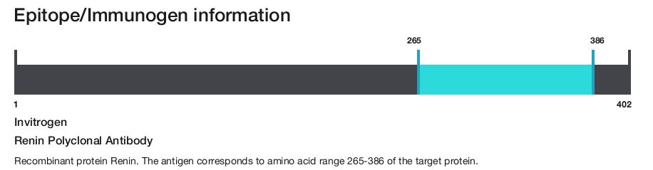 Renin Polyclonal Antibody