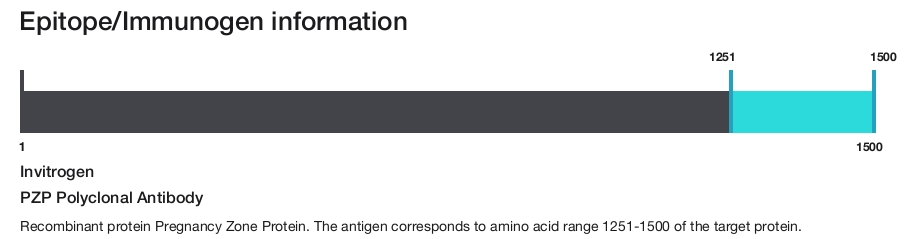PZP Polyclonal Antibody