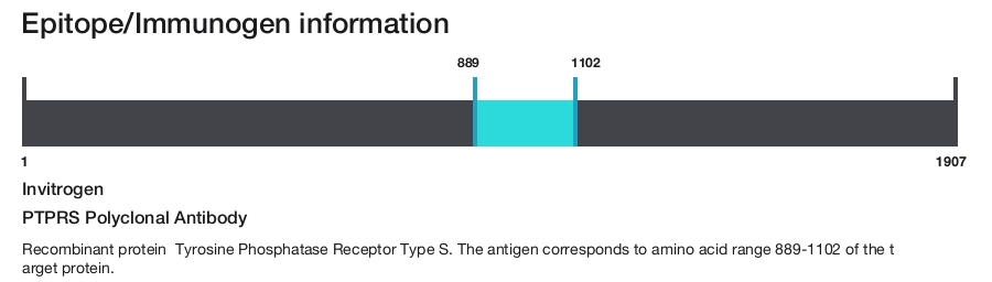 PTPRS Polyclonal Antibody