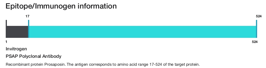 PSAP Polyclonal Antibody