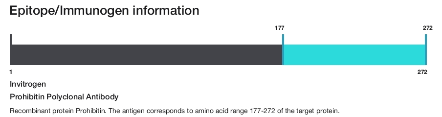 Prohibitin Polyclonal Antibody