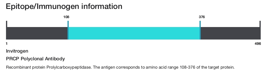 PRCP Polyclonal Antibody