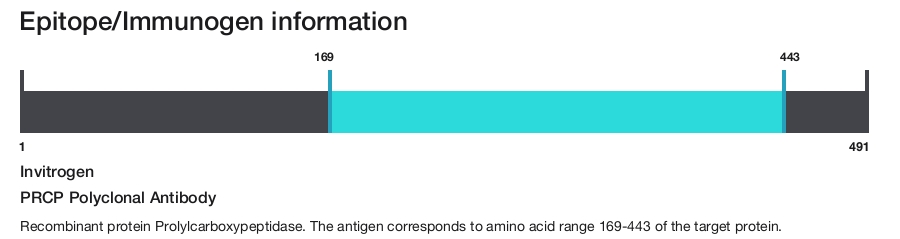 PRCP Polyclonal Antibody
