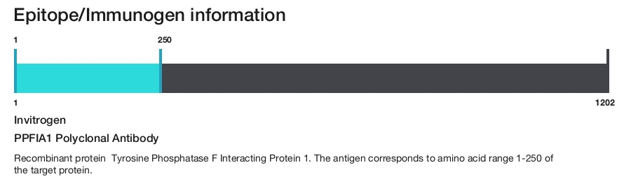 PPFIA1 Polyclonal Antibody