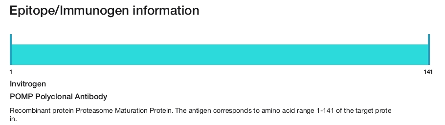 POMP Polyclonal Antibody