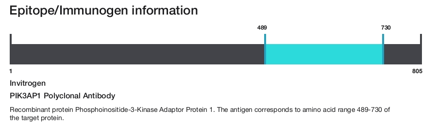PIK3AP1 Polyclonal Antibody