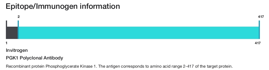 PGK1 Polyclonal Antibody