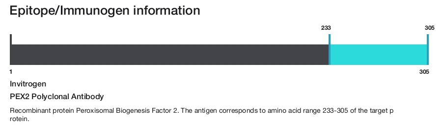 PEX2 Polyclonal Antibody