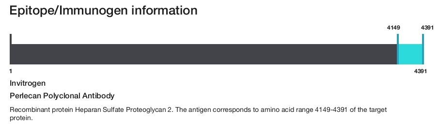 Perlecan Polyclonal Antibody