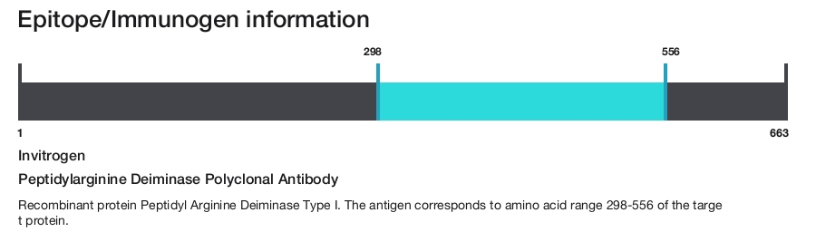 Peptidylarginine Deiminase Polyclonal Antibody