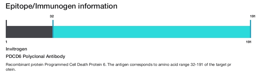 PDCD6 Polyclonal Antibody