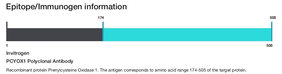 PCYOX1 Polyclonal Antibody