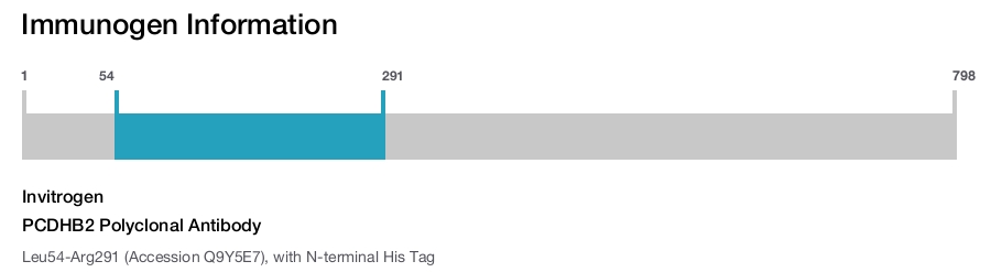 PCDHB2 Polyclonal Antibody