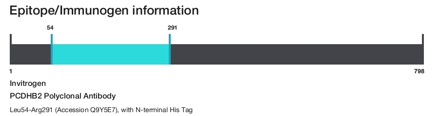 PCDHB2 Polyclonal Antibody