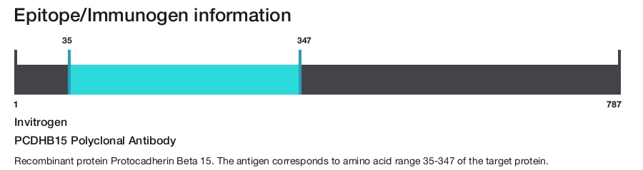 PCDHB15 Polyclonal Antibody
