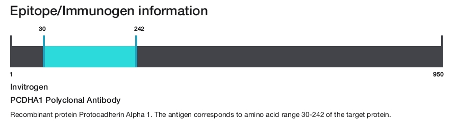 PCDHA1 Polyclonal Antibody