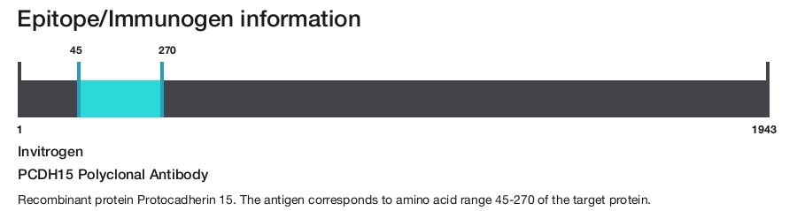PCDH15 Polyclonal Antibody