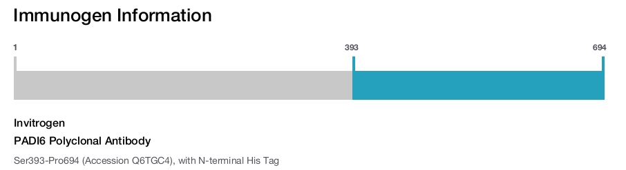 PADI6 Polyclonal Antibody