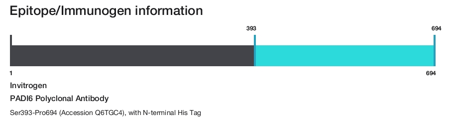 PADI6 Polyclonal Antibody