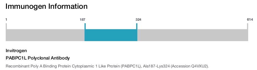 PABPC1L Polyclonal Antibody