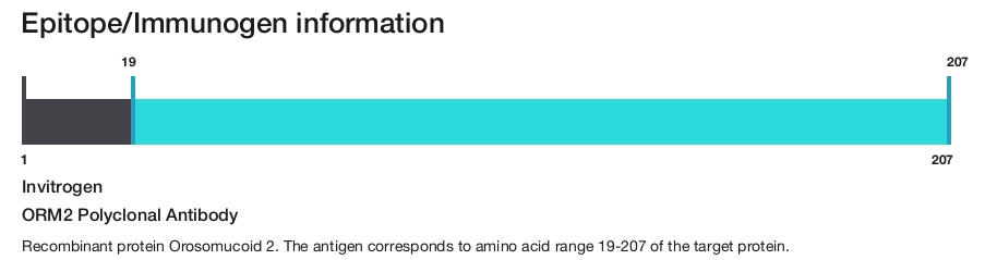 ORM2 Polyclonal Antibody
