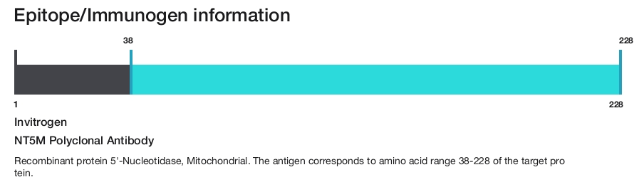NT5M Polyclonal Antibody