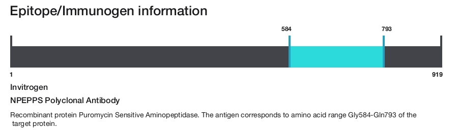NPEPPS Polyclonal Antibody