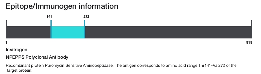 NPEPPS Polyclonal Antibody