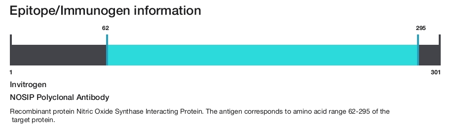 NOSIP Polyclonal Antibody