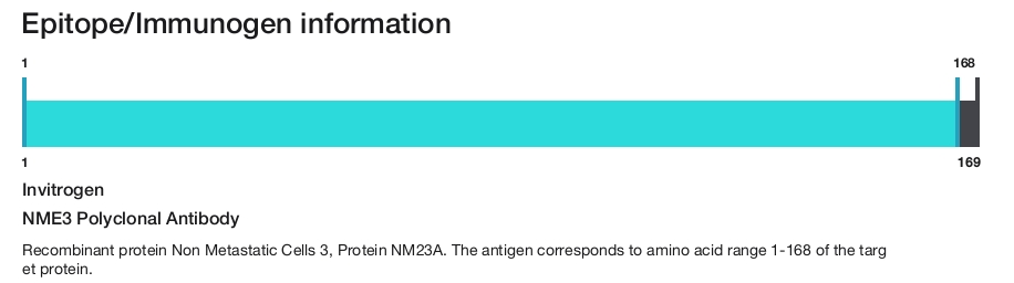 NME3 Polyclonal Antibody