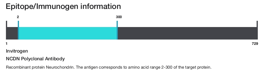 NCDN Polyclonal Antibody