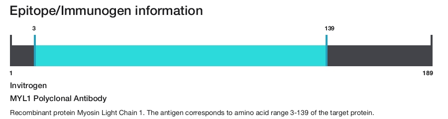 MYL1 Polyclonal Antibody
