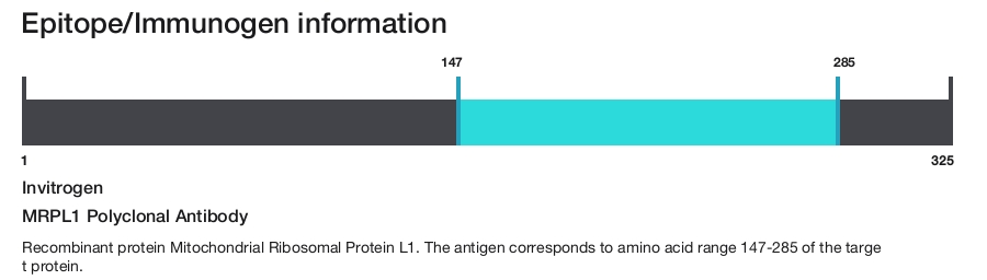 MRPL1 Polyclonal Antibody