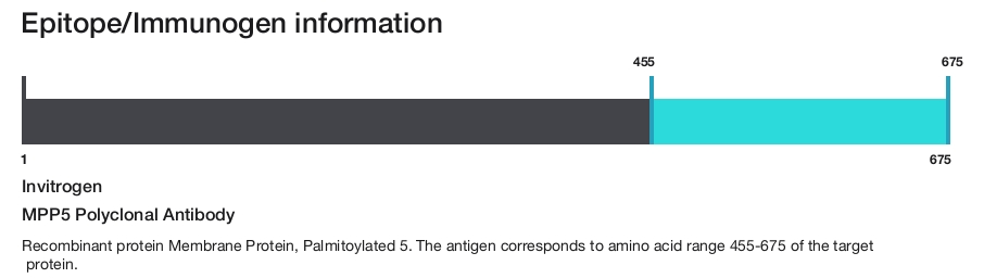 MPP5 Polyclonal Antibody