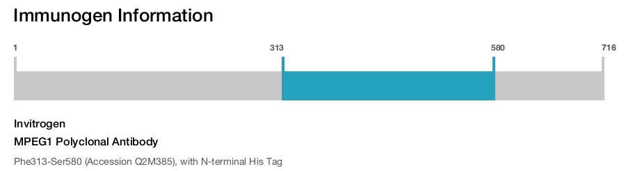 MPEG1 Polyclonal Antibody